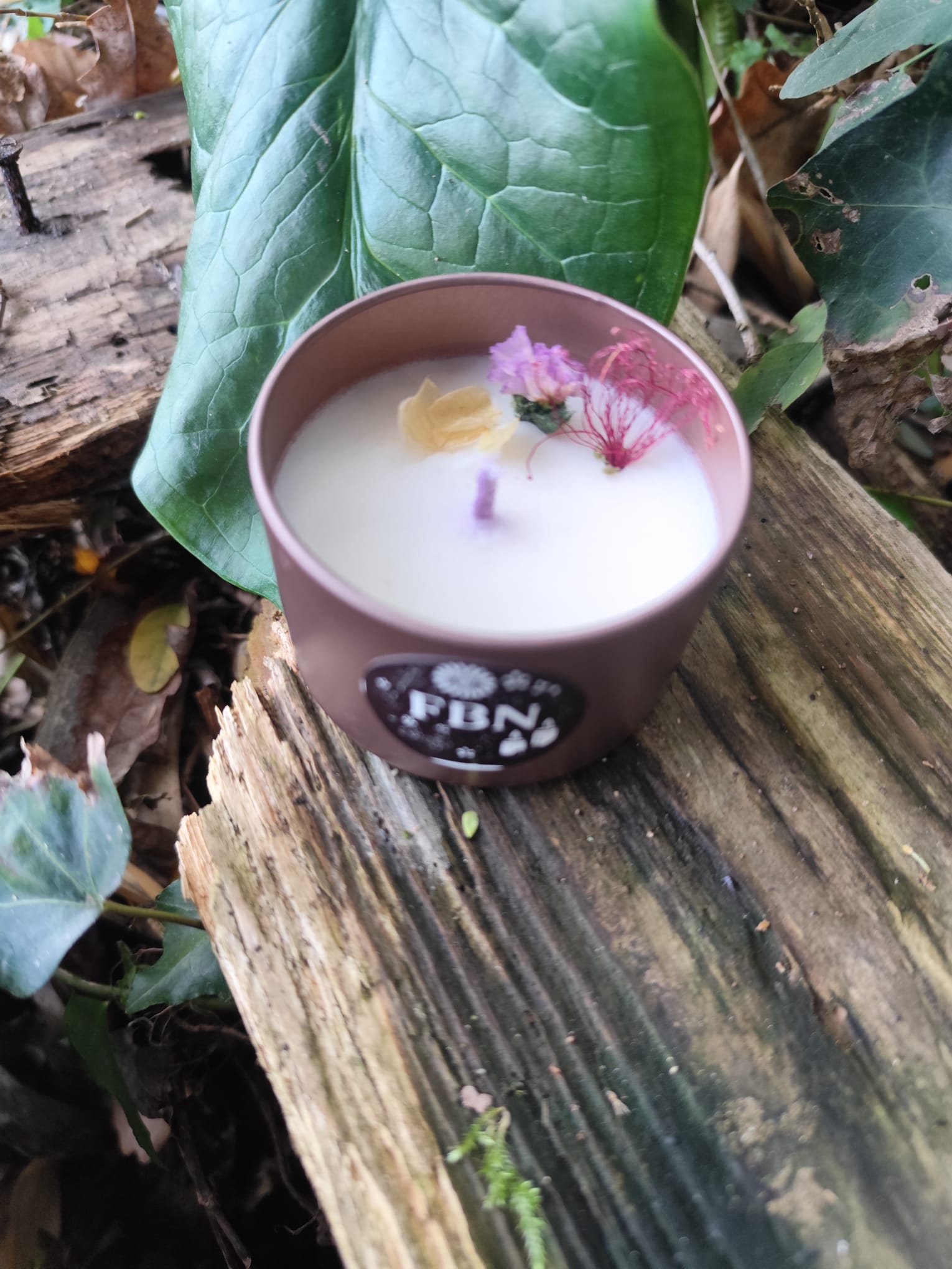 Bougie coulée - Aloe Vera