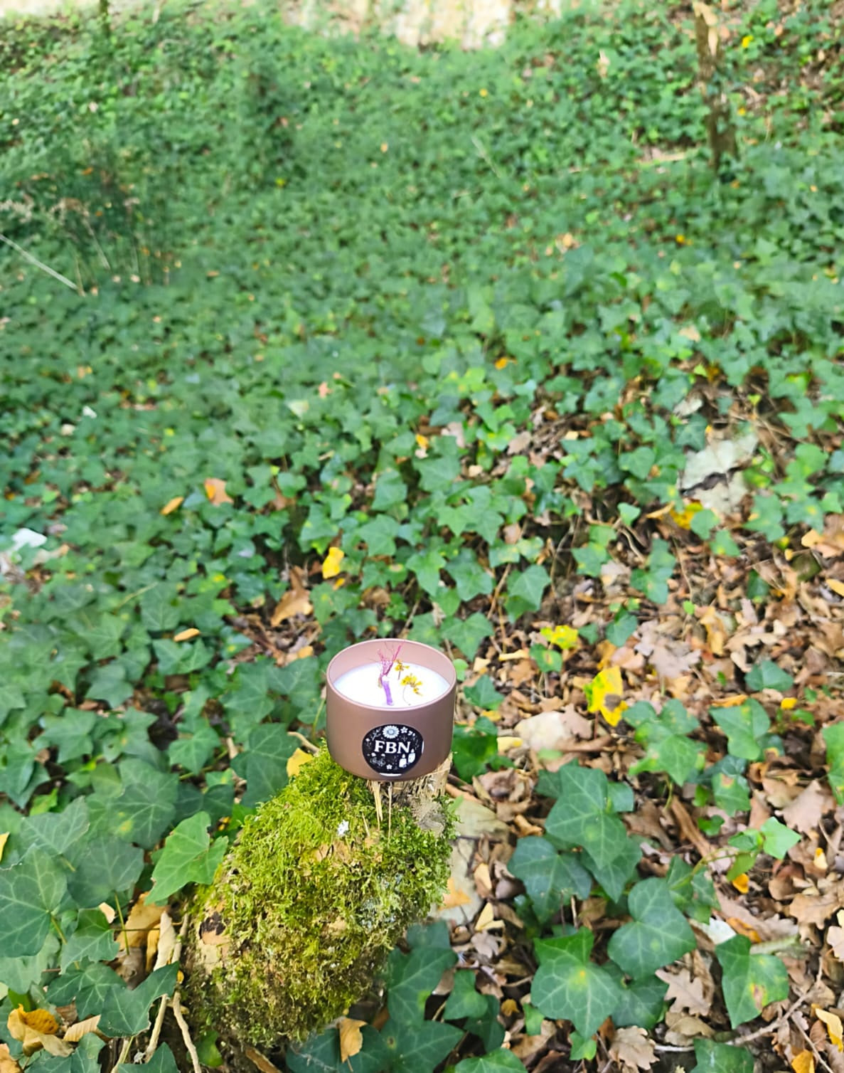 Bougie coulée - Pomme d'amour