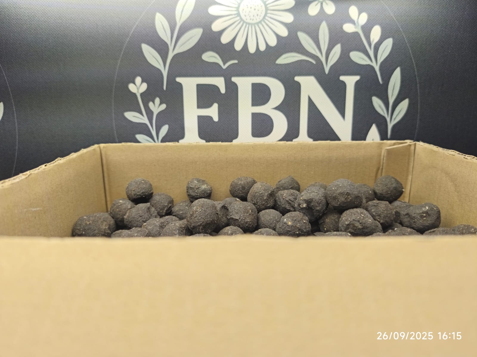 Bombes Graines VRAC (Nectar)