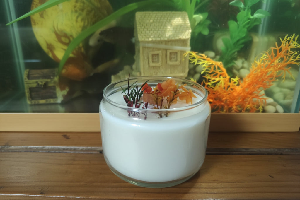 Bougie Vegan DUO Vanille / Douceur