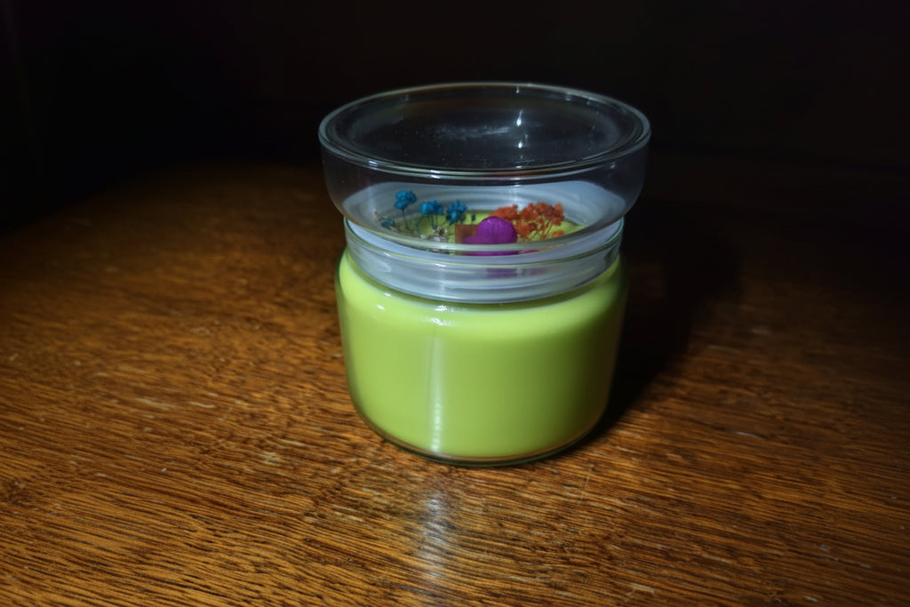 Bougie Vegan DUO Pomme canelle / Aloe vera