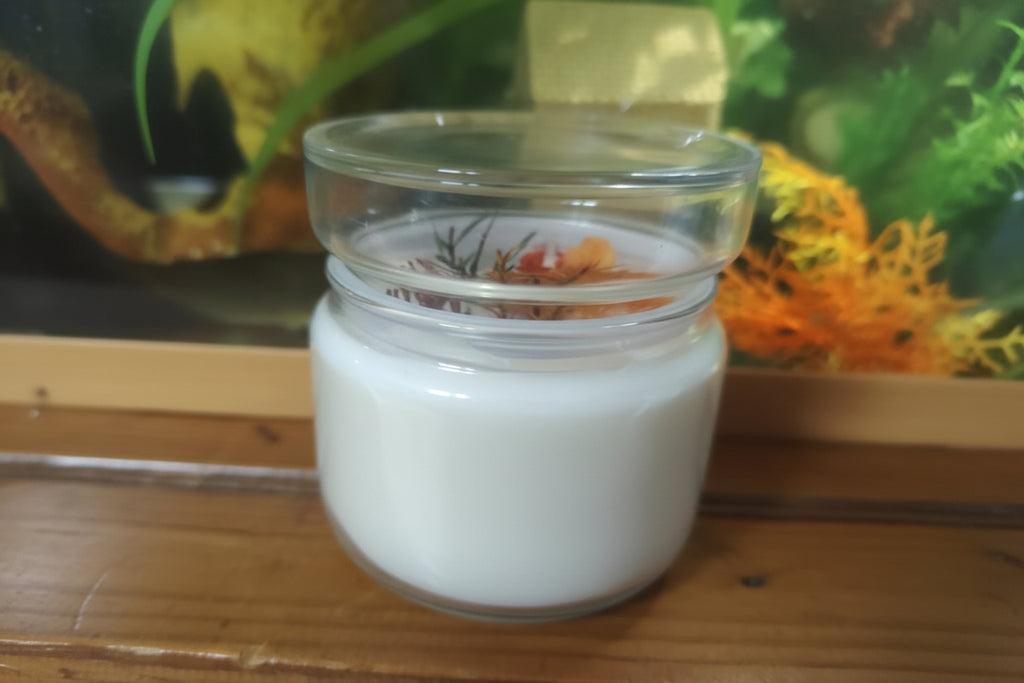 Bougie Vegan DUO Vanille / Douceur