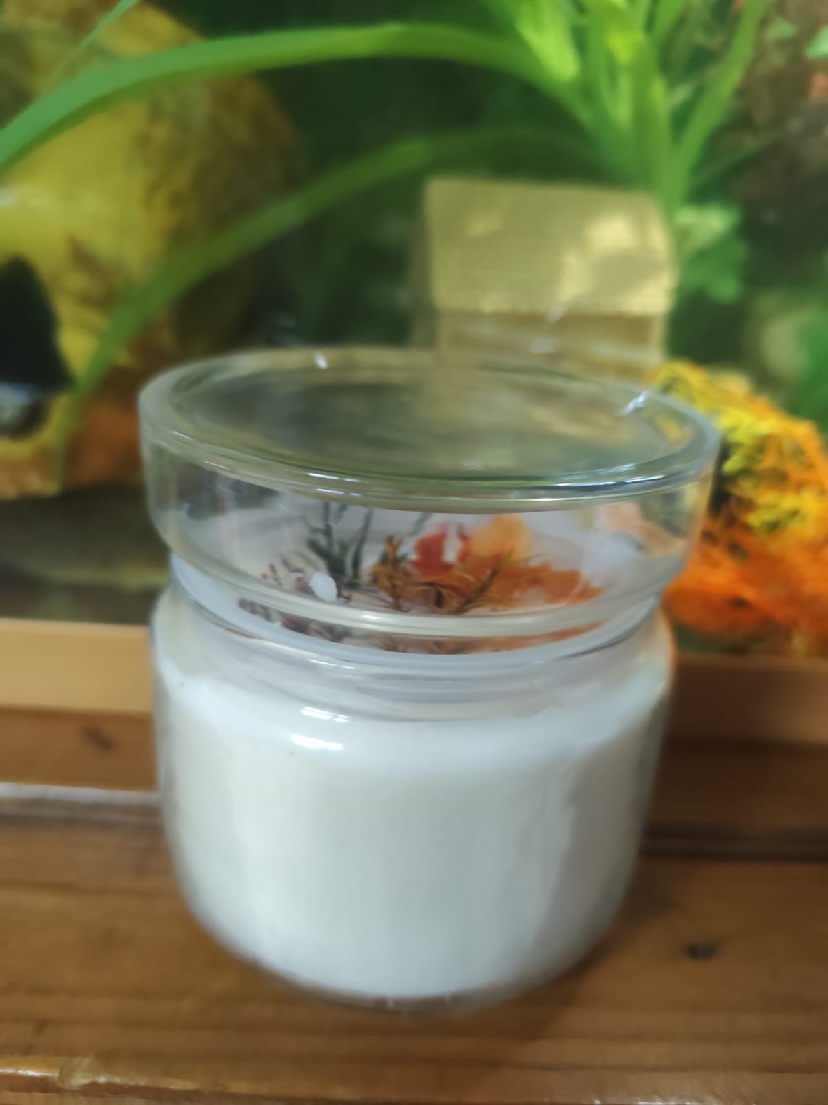 Bougie Vegan DUO Vanille / Douceur